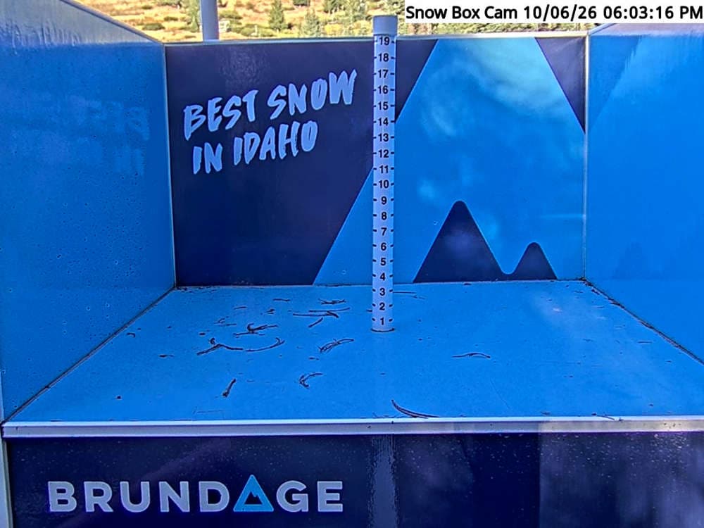 Base Area Snow Cam