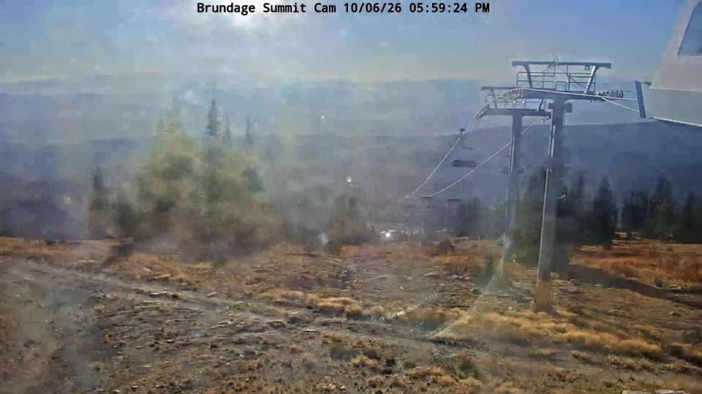 Top Bird Cam
