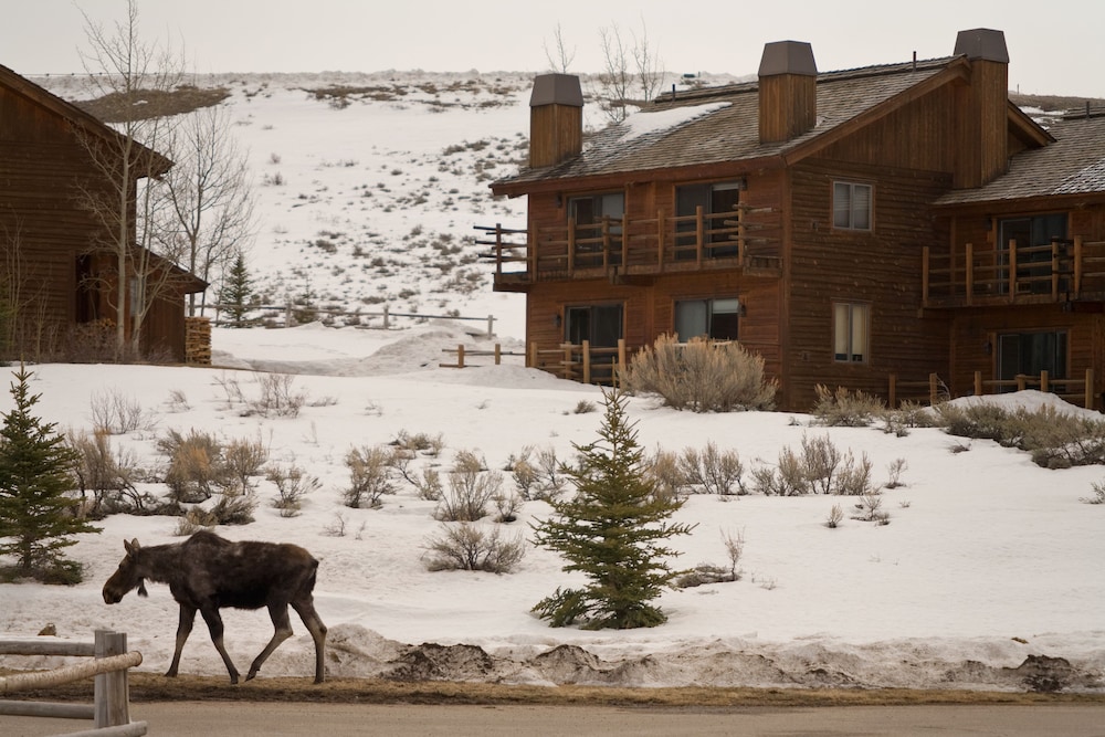 Jackson Hole ski packages Spring Creek Ranch