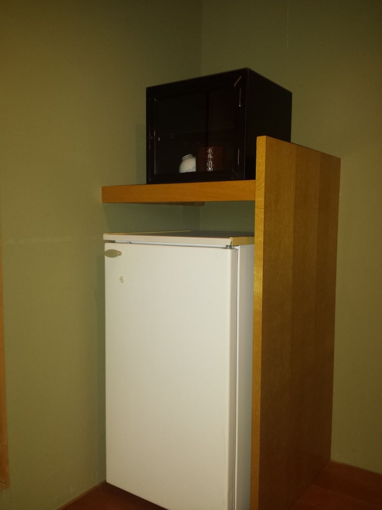 Mini-refrigerator